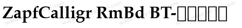 ZapfCalligr RmBd BT字体转换